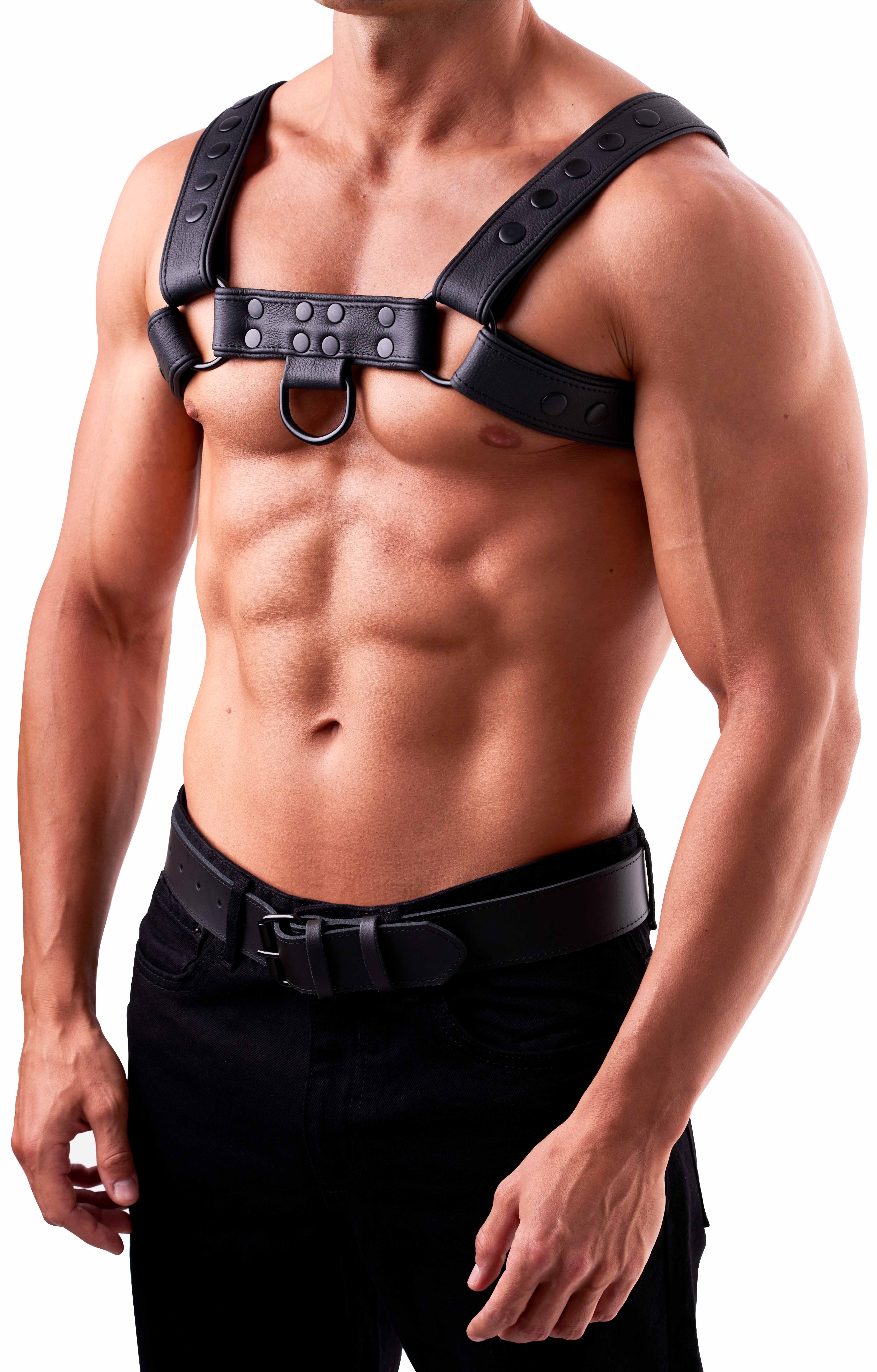 SAXOS Soft Leder Brust Harness schwarz L/XL