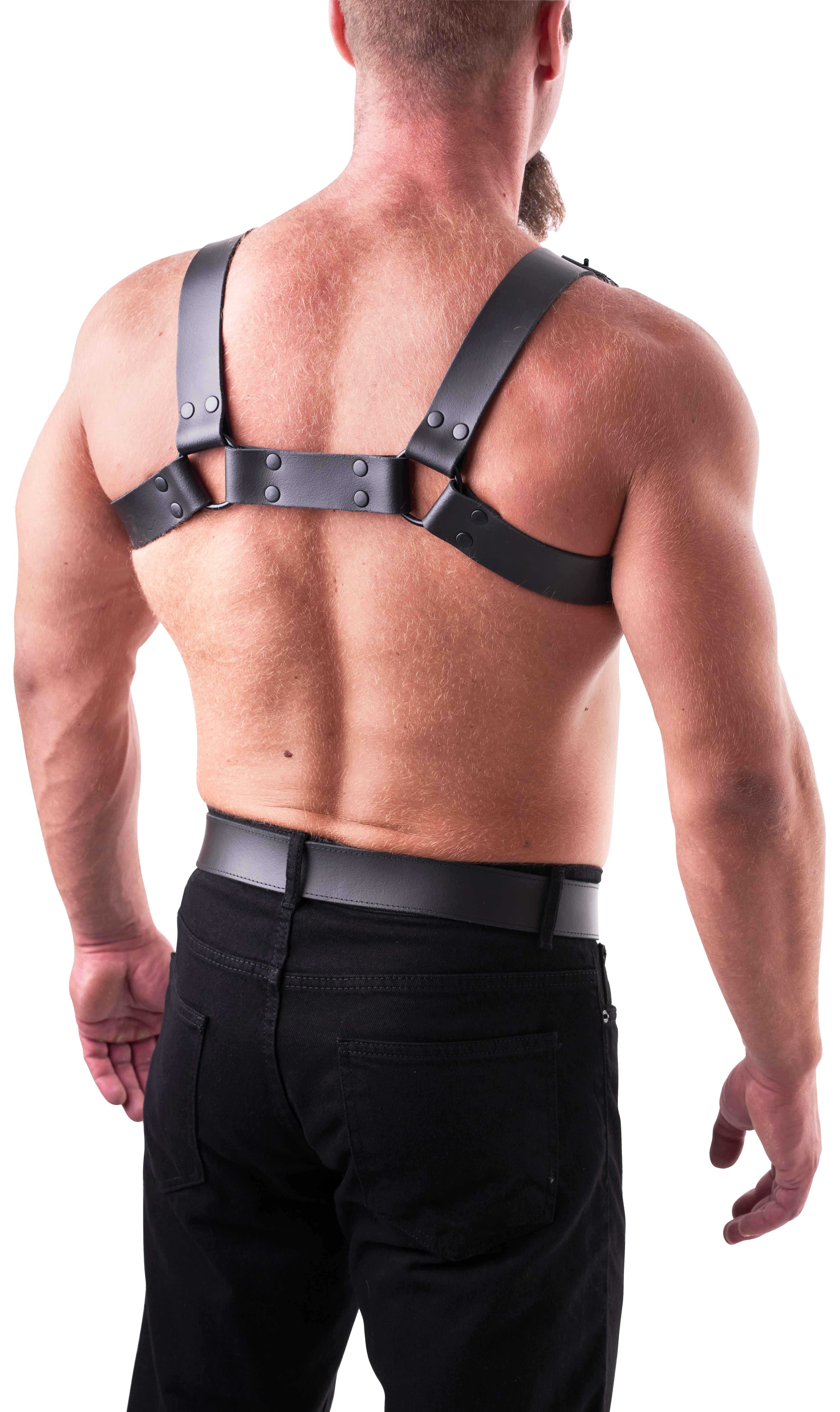 SAXOS Leder Brust Harness schwarz L/XL