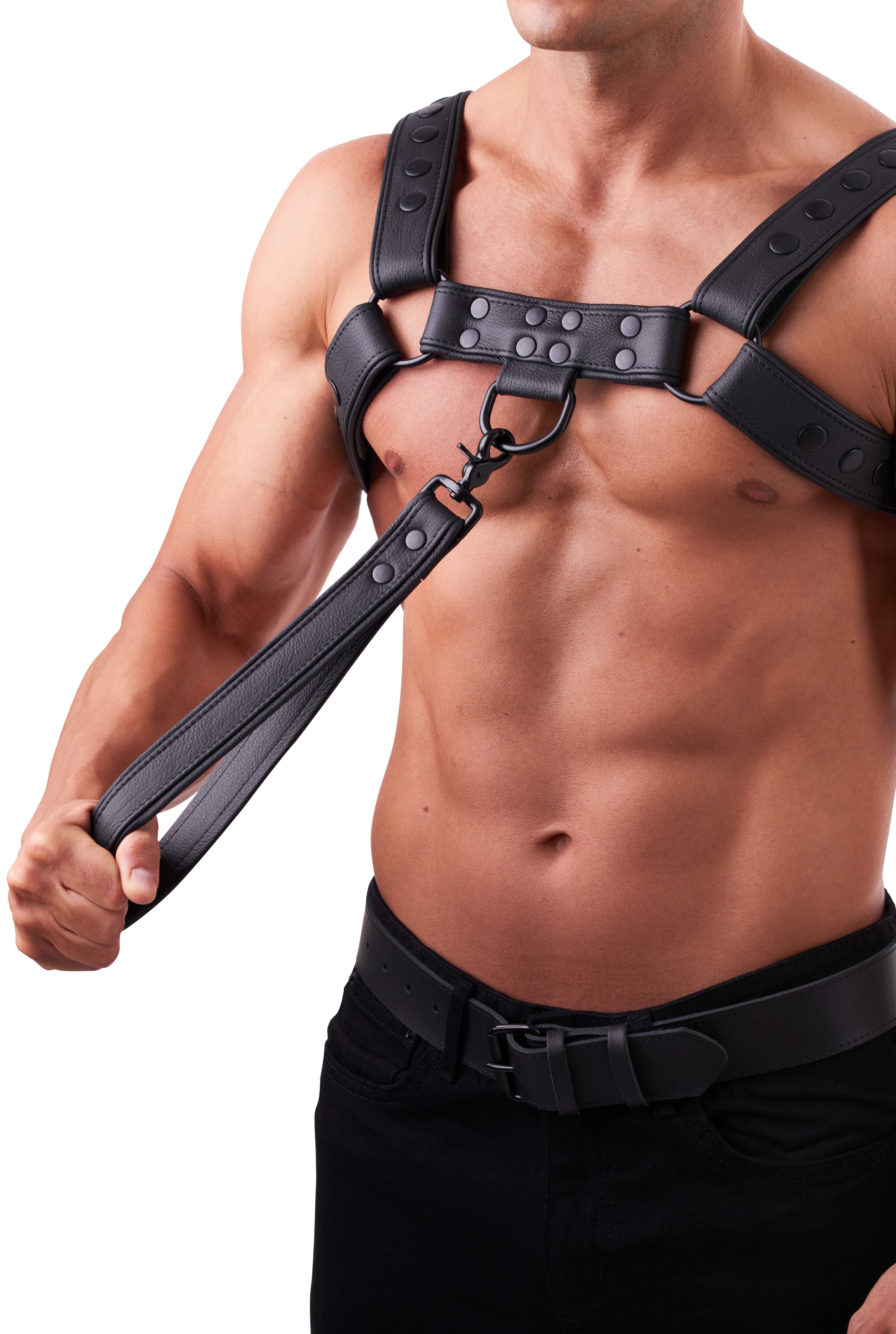 SAXOS Soft Leder Leine kurz schwarz