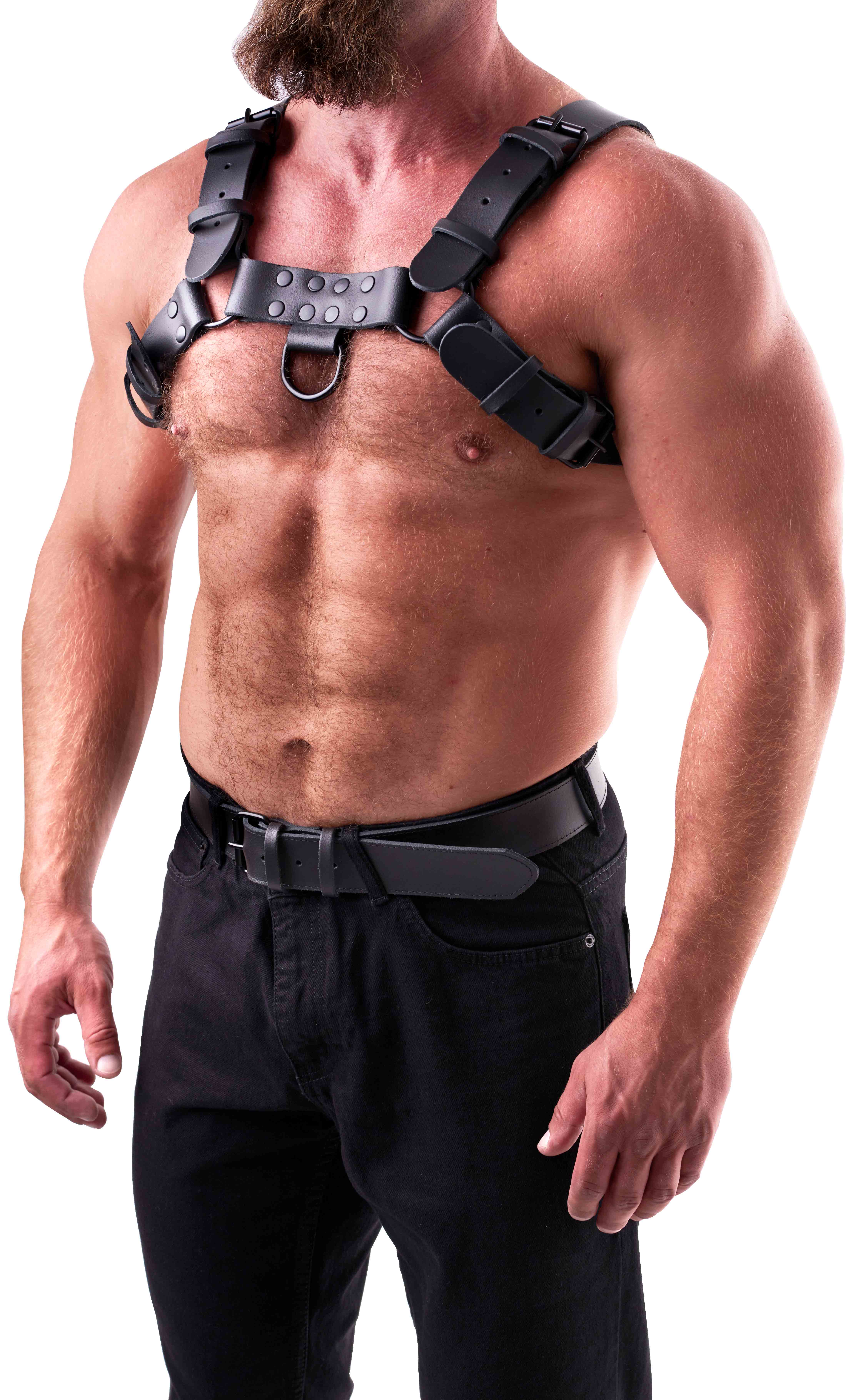 SAXOS Leder Brust Harness schwarz L/XL